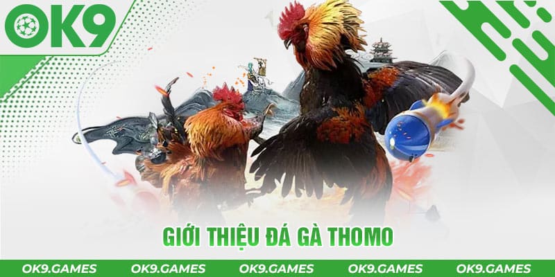 gioi thieu da ga thomo