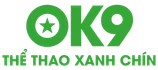 ok9.bike