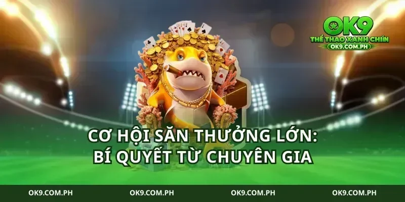 Cơ hội săn thưởng lớn: Bí quyết từ chuyên gia