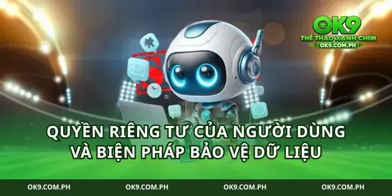 Quyền riêng tư của người dùng và biện pháp bảo vệ dữ liệu