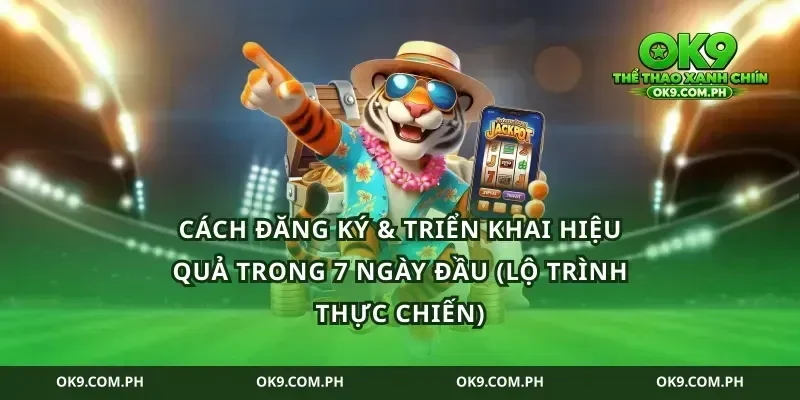 Cách đăng ký & triển khai hiệu quả trong 7 ngày đầu (lộ trình thực chiến)