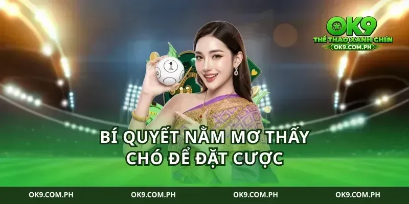 Bí quyết nằm mơ thấy chó để đặt cược