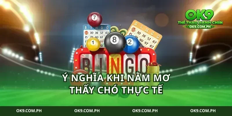 Ý nghĩa khi nằm mơ thấy chó thực tế