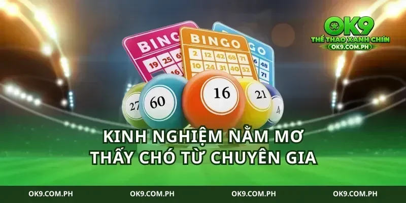 Kinh nghiệm nằm mơ thấy chó từ chuyên gia